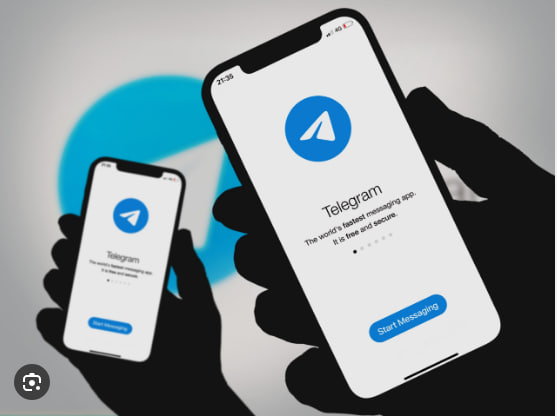 如何通过Telegram电脑版设置联络人优先级？